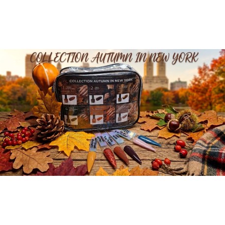 Collection Autumn in New York