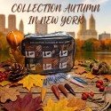 Autumn in New York
